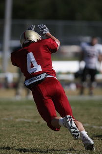 米兰体育app下载-五大联赛是否在中场搭配中加入更多防守倾向球员，五大联赛最强中场  第1张