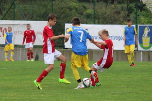 ac米兰中文官网-国际乒联宣布新赛制，赛事更加精彩，国际乒联比赛2021  第2张